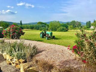 Bastide du Buou - Puyvert - 2