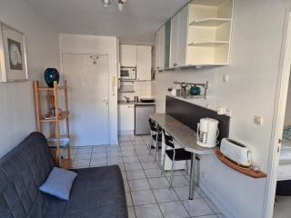 Macareux - Perros-Guirec - 3