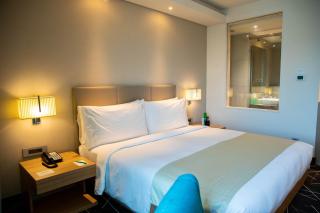 Hotel Jupiter At Delhi Airport - New Delhi - 9