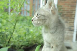 Chrisma Bed and Breakfast - 0