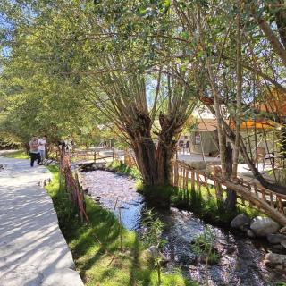 The Brook Camp Hunder, Nubra - 8