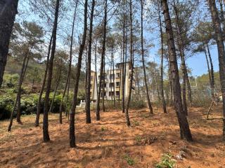 XTSY Travellers Hostel - Shillong - 0
