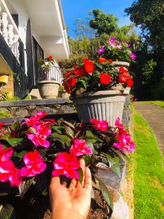 Ella Mist Bungalow - Bandarawela - 1