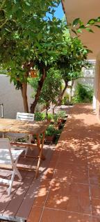 Giunone Garden - Palermo - 8