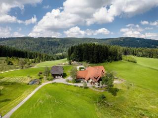 Ferienwohnung Duffner - Schonach - 1