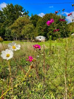 YURT in beautiful nature with a lot of privacy - Troche - 5