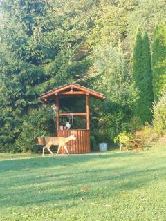 Privatzimmer am Weinbrunnen - Vorchdorf - 7