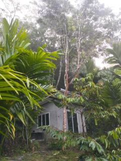 บ้านเล็กในป่าใหญ่โฮมสเตย์ กงหรา พัทลุง - - 3