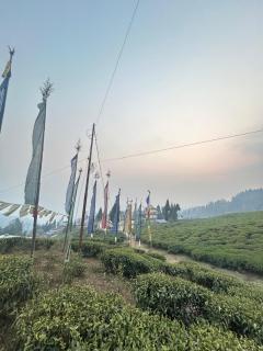 Lazim Homestay & Tea Spot - 4