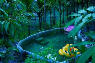 บ้านเล็กในป่าใหญ่โฮมสเตย์ กงหรา พัทลุง - - 8