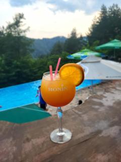 Villa Lake Palace - 6