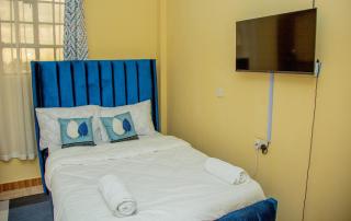 Azure Studio with Netflix and WI-FI - Nanyuki - 9