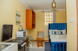 Azure Studio with Netflix and WI-FI - Nanyuki - 2