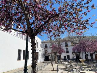 El Patio del Albaicín - Granada - 4
