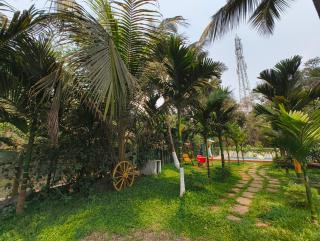 Palm The Villa - Avas - 3