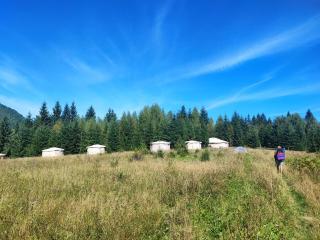 Eco glamping - Carpathians. Retreat hub Dzin Space - Verkhovyna - 9