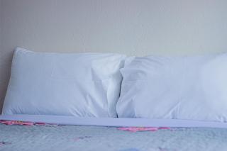 Tsitsi Grace Guest House - - 0