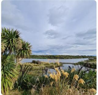 Scarborough Home - Timaru - 2