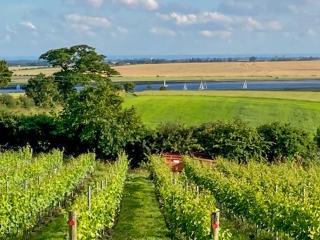 Holly Uk49254 - Althorne - 8