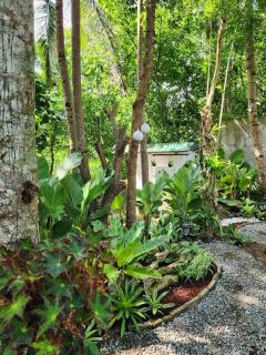 Sotera and Paz Forestville - 6