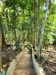 Sotera and Paz Forestville - 5