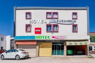 OYO Hotel Bugambilia, San Luis Potosí - San Luis Potosí - 8