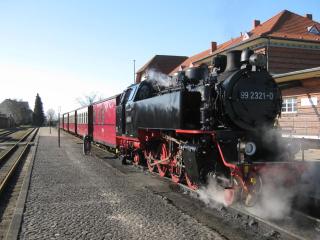 FeWo Relex in der Villa Dorothee - 1