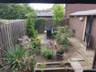 Comfortable and conveniently located home - Arnhem - 9