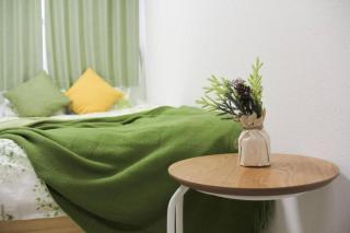 Sensoji 2ppl Apt - 7