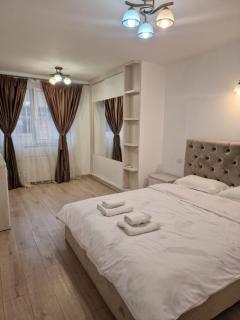 Zlata Quiet London Residence 2 - Suceava - 9