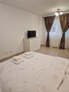 Zlata Quiet London Residence 2 - Suceava - 6