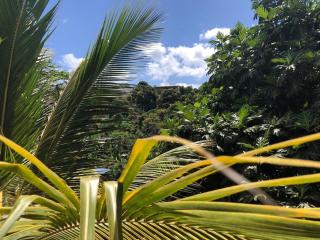 Spacious luxury 4 bedroom apartment - Bandraboua - 9