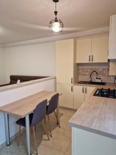 Zlata Quiet London Residence 2 - Suceava - 1
