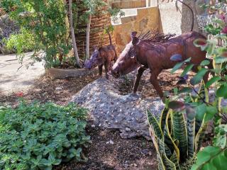 Guesthouse Terra Africa - Windhoek - 6