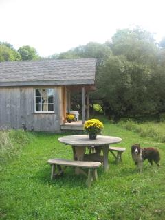 Lovely Farm Cabin Incredible for Animal Lovers in East Meredith, New York - East Meredith - 5