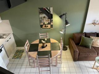 Maison la palmyre - Les Mathes - 4