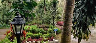 Kathadia Homestay - Cherambane - 7