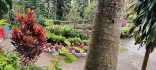 Kathadia Homestay - Cherambane - 4