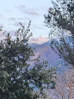 Le Pas du Ventoux - Mollans-sur-Ouvèze - 9