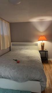 Renovated 2 Queen Beds Unit with Private Kitchen and Bathroom Near Yonge Street Basement - Richmond Hill - 6