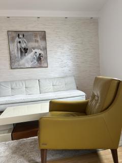 Apartment in Old town 2 - Sarajevo - 7