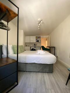 Superior Studio Flat in the City Centre - Londra - 4