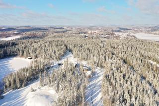 Havu Resort Laajavuori - Luksushuvila keskellä suomalaista metsää, Jyväskylä - 9