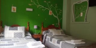 Hostal La Collada de Aralla - Aralla de Luna - 2