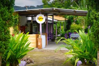 Legend Guesthouse - Kelimutu - 7