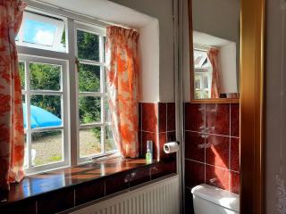 Spacious double, Shower en-suite, Desk & Patio - 2