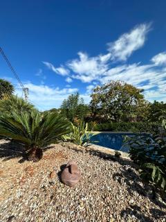 Sunny renovated Apartment - Denia/Santa Llucia - Dénia - 5