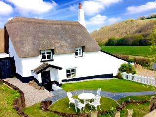 Cosy and unique Thatched Cottage on Dartmoor - Bridford - 0