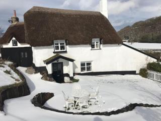 Cosy and unique Thatched Cottage on Dartmoor - Bridford - 8