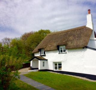 Cosy and unique Thatched Cottage on Dartmoor - Bridford - 2